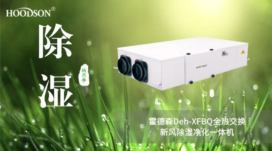 梅雨季“湿”意难挡，幸好有(yǒu)TA助您轻松破局！5